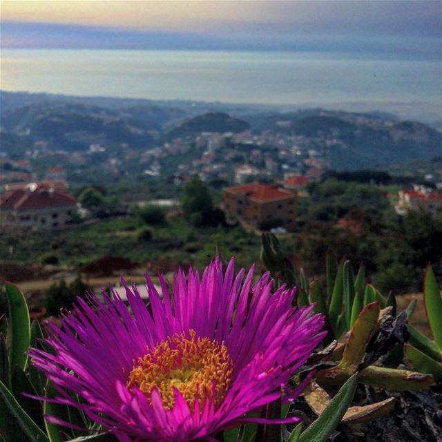 Meet me where the sky touches the sea💙 photographie  photography ... (Lebanon)