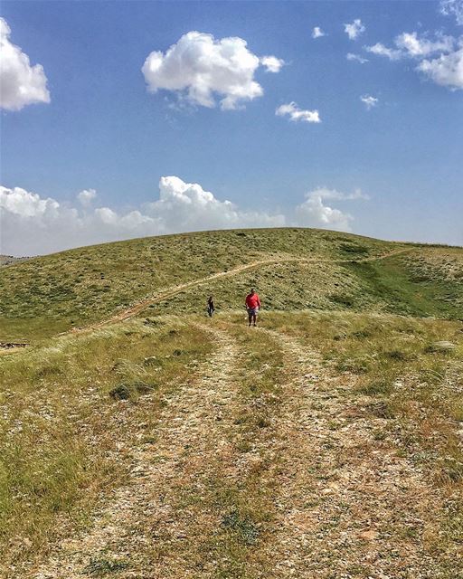 Meet the @thewindland ♥️ A new hidden gem, a magical camping land that... (Lebanon)