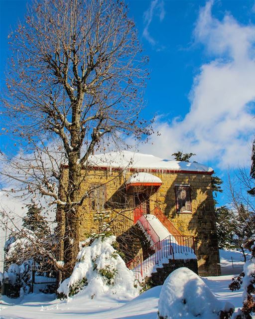 Merry Christmas dears 🎄 (Sawfar, Mont-Liban, Lebanon)