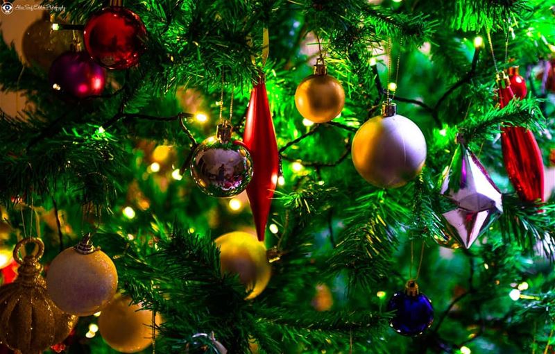 Merry Christmas everyone. xmas  xmastree  xmasindubai  decoration ...