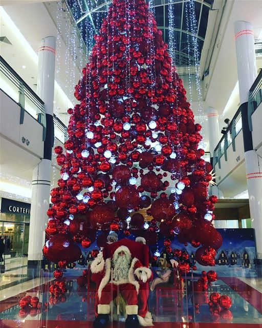 Merry Christmas 🎊🎁🎄🎅🏻🤶🏼☃️.... love  photooftheday  instadaily... (CityMall In Beirut)