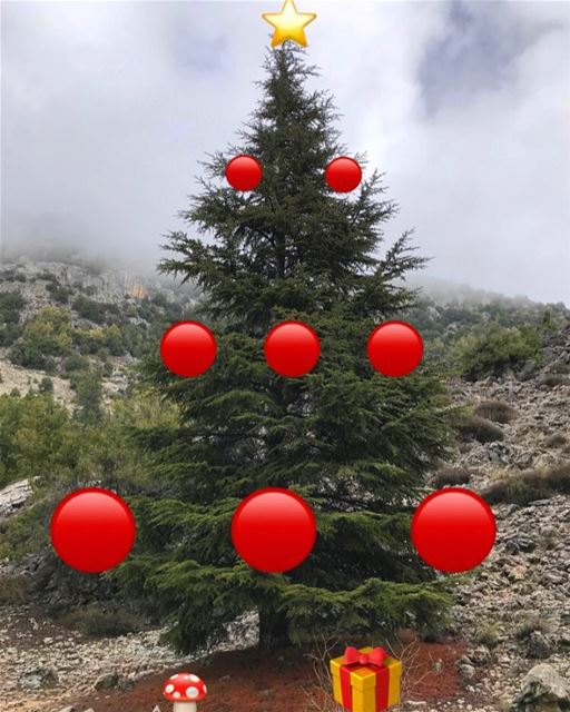 Merry Christmas 💫🎁