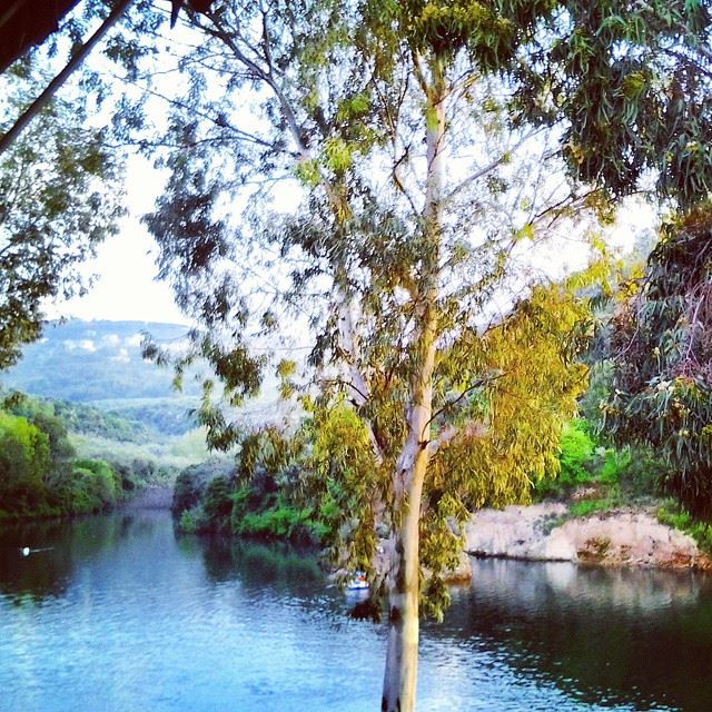 Mesmerizing beauty of le lac de Bnachii...  Zgharta  liban  Lac ...