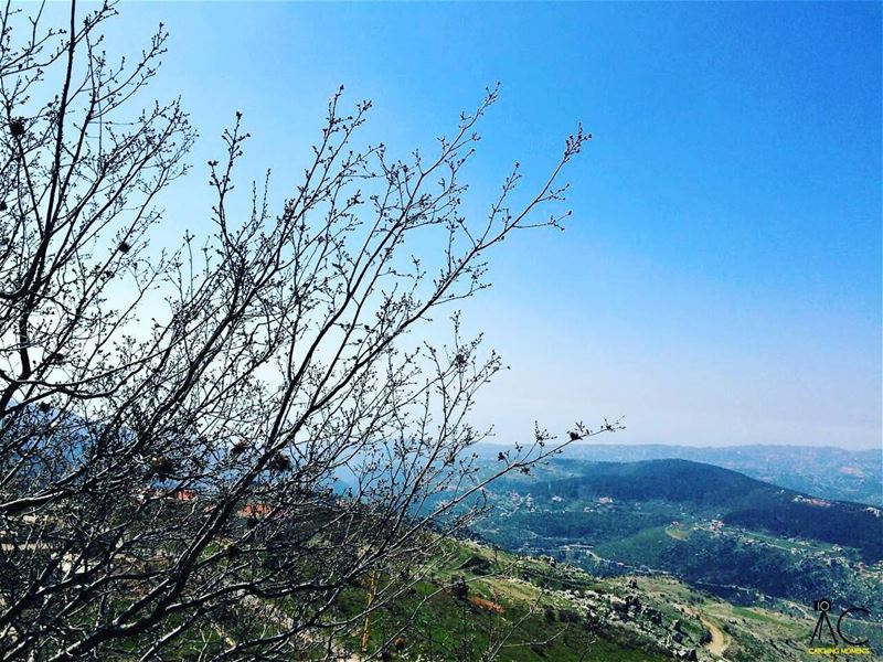  metn  lebanon  bluesky  lake  mountains  tree  livelovelebanon ...