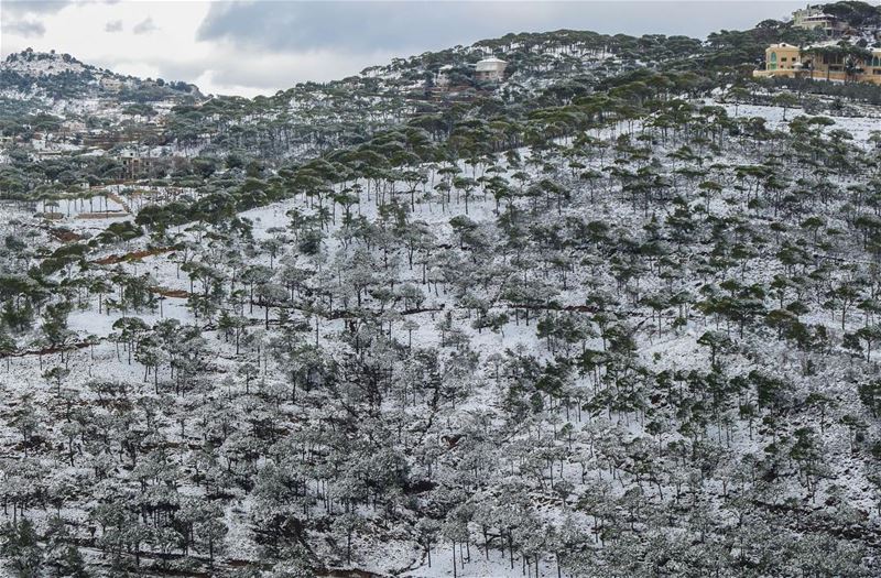 Mid day cupcakes with ice toping 😀.. nature  naturelovers  mountains ... (Jezzine District)