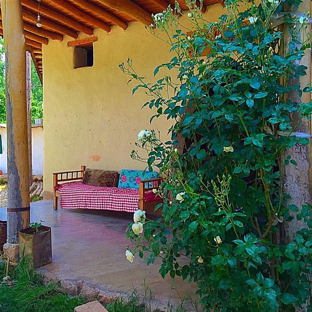 Mid summer day dream  perfectspot  lebanon  bekaa  sitwithme  bench  shade... (Beqaa Valley)