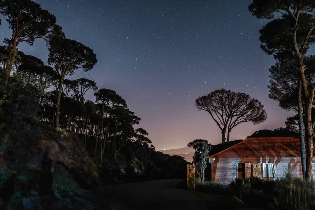 Midnights in the forest ✨🏡 We are loving all the stars shimmering in the...