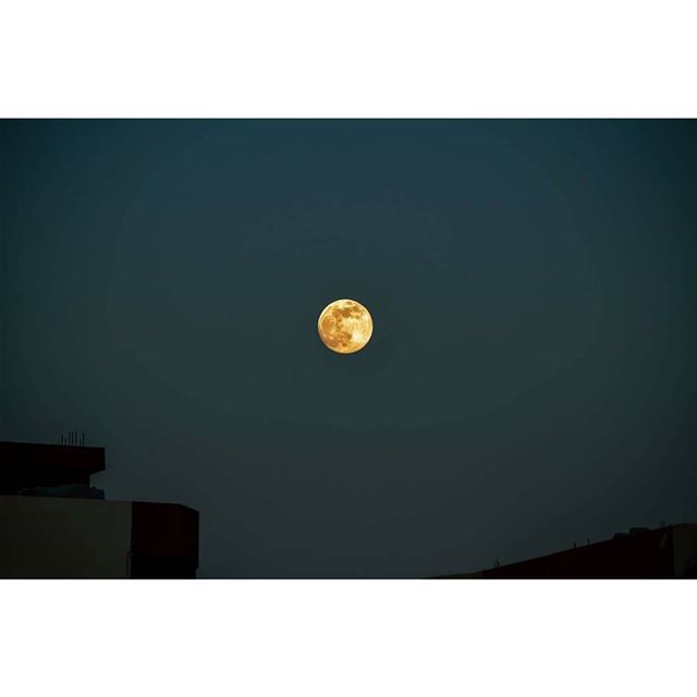 © Milad lamaa | 7:50 PM | 2017 fullmoon  full  moon  contrast ...