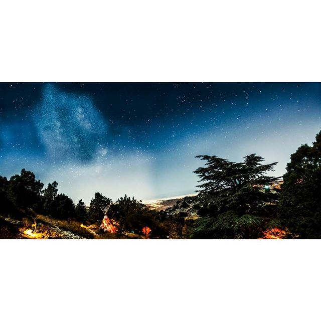 © Milad lamaa | Cedar's Ground | 2:00 AM | 2017  lebanon  cedarsground ...