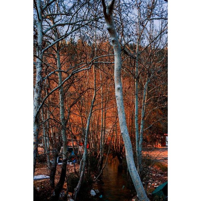 © Milad lamaa | Naher el-hamam , al chouf | 2018 @livelove.chouf  winter...