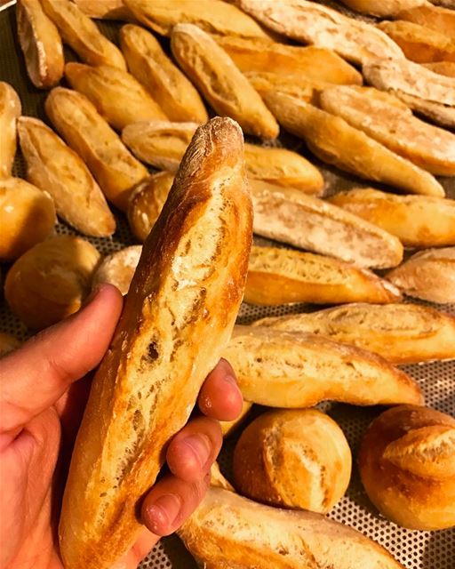 Mini Pain au levain maison ! 😋🥖 livelovelebanon  livelovebeirut ...