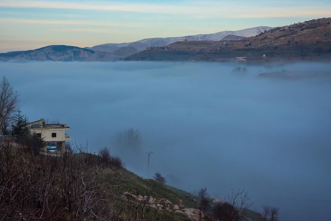 Mist hunger...shot from  tannourine  lebanon  landscapephotography ...