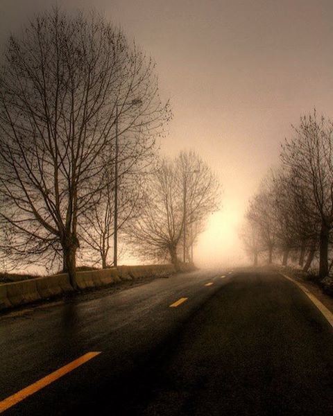 Misty roads  driving  road  roadtrip  adventure  mist  rain  trees  fog ... (Sawfar, Mont-Liban, Lebanon)