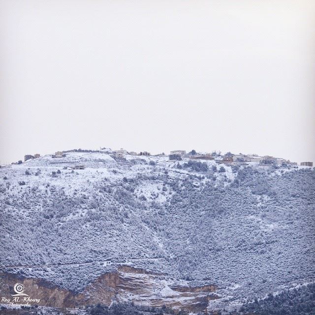  miziara  now snow  cold  weather  livelovesnow  LiveLoveLebanon ... (Mizyarah, Liban-Nord, Lebanon)