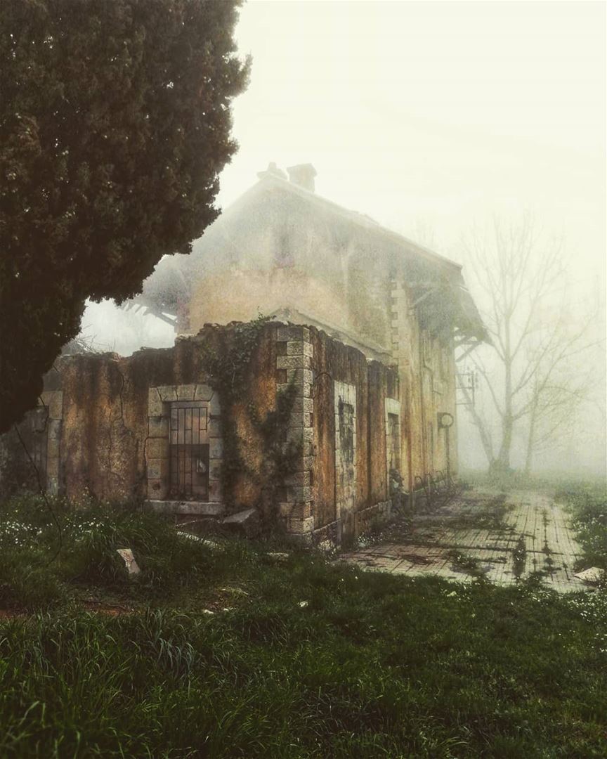  mobilephotography  photography  weather  fog  clouds  tree  old  oldhome ... (Sawfar, Mont-Liban, Lebanon)