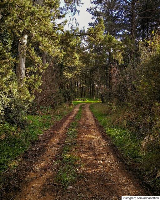  mobilephotography  shotoniphone  photos  photo  naturephotography  nature... (`Alayh, Mont-Liban, Lebanon)