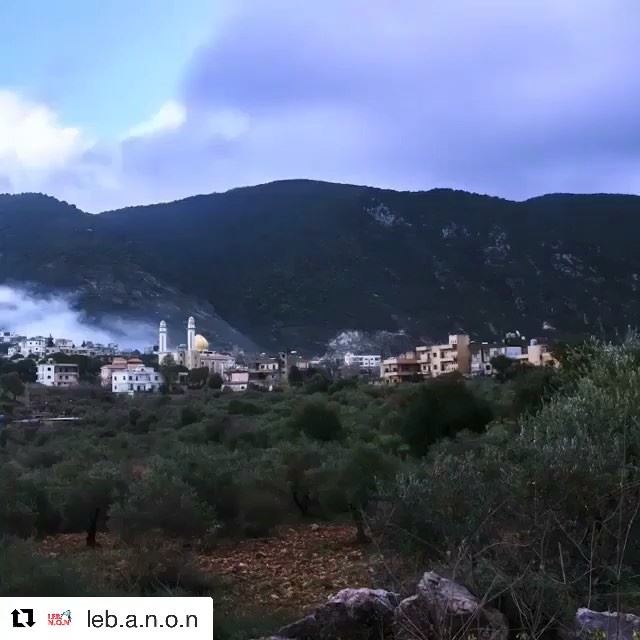 @moe_mokalled  arabsalim lebanon nature beautiful loveit livelovelebanon ...