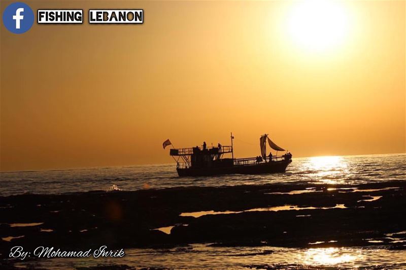 @mohamad.ibrik & @fishinglebanon - @instagramfishing @jiggingworld @gtbuste (Beirut, Lebanon)