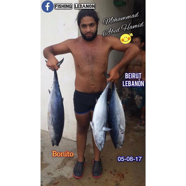 Mohammad Abed Hamid _________________________________ lebanon  lebanese ... (Beirut, Lebanon)