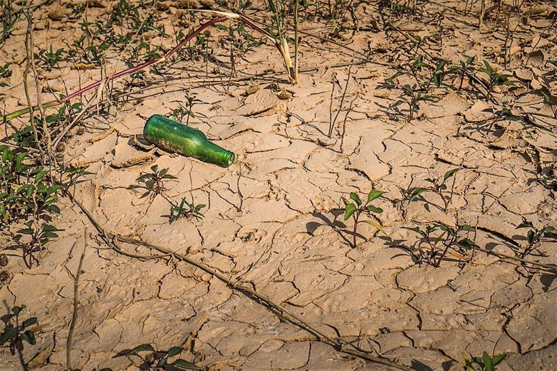 Moisten the dryness  vsco  lebanon ... (Ain Dara)