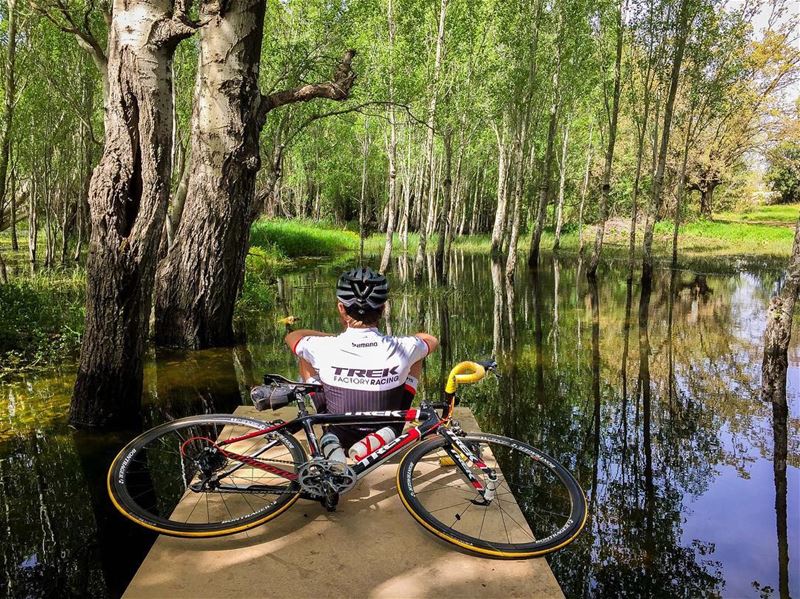 Moment of Appreciation 🌾 trekbikes  trektravel  showyourstripes ... (Amazon Jungle, Peru)