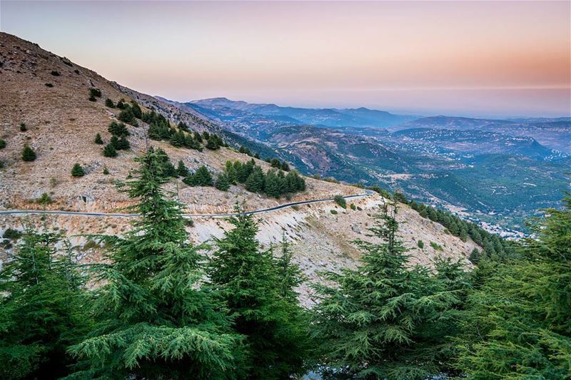 Moments before the sunrise high on the mountains💛💚. Best chill time ever... (Bâroûk, Mont-Liban, Lebanon)