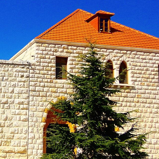 monastere monastery tree (Annaya)