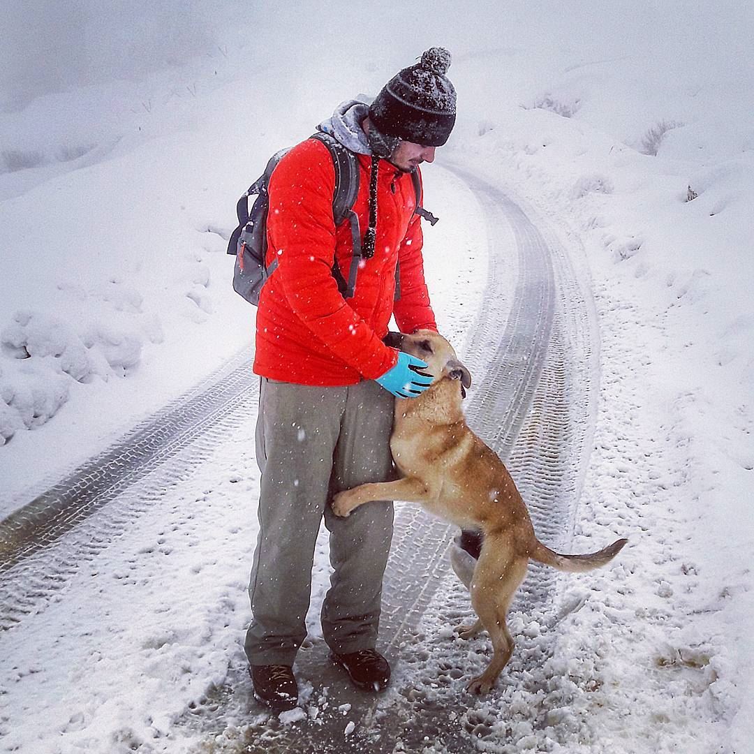  monday hike hiking snow snowing dog animal happydog camping adventure... (Zaarour)