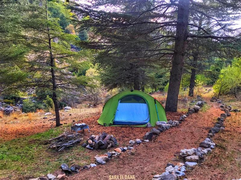Mondays can be fun too! 🏕 (Ehmej, Mont-Liban, Lebanon)