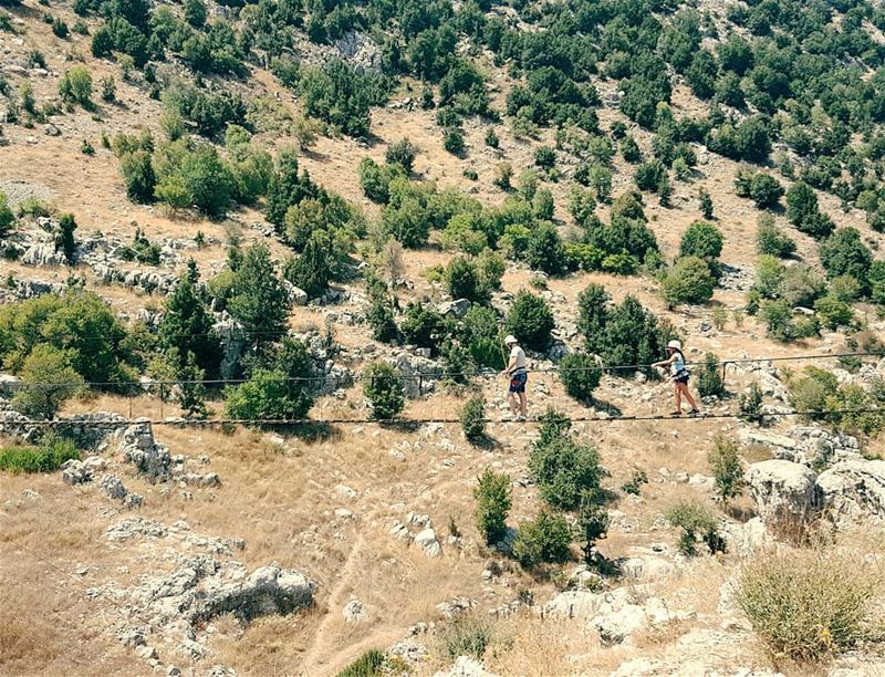  monkeybridge  whatsuplebanon  eyesoflebanon  meetlebanon  ... (Bâloûaa Baatâra)