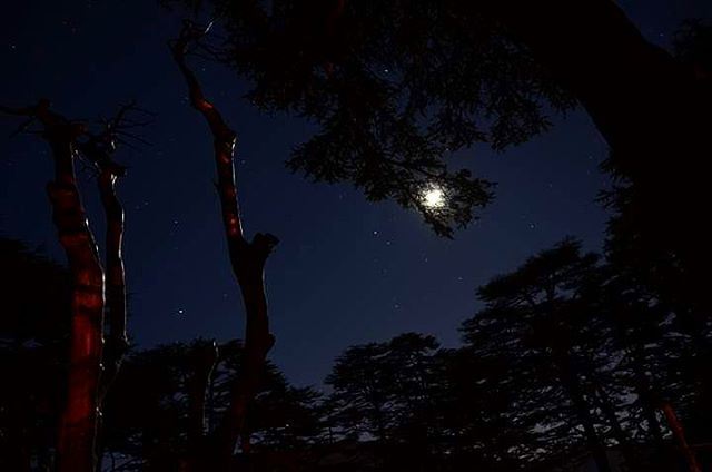  moon  fullmoon  moonlight  stars  night  nightphotography dark  sky ...