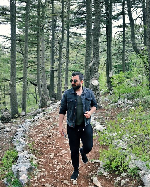 More greenery, less machinery! 🌿.. . . . .  beautifuldestinations ... (Tannourine)