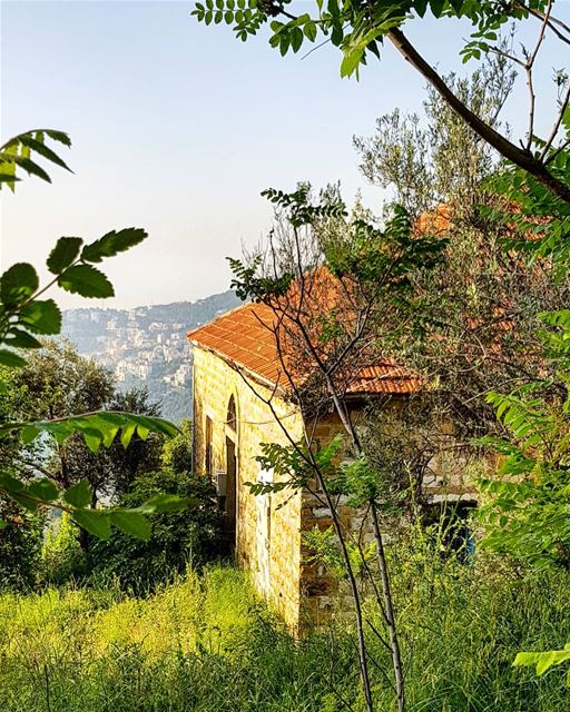 More than a season,  Spring is a state of mind instagood  insta_lebanon ... (Araya, Mont-Liban, Lebanon)