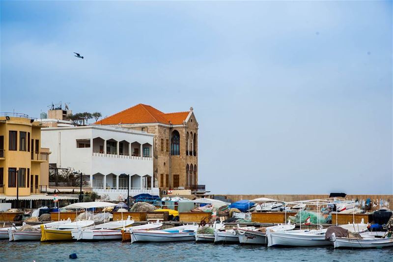  Morning  Aboutlastweek  Tyre  Sour  mediteranensea  Blue  Harbor ... (Tyre, Lebanon)