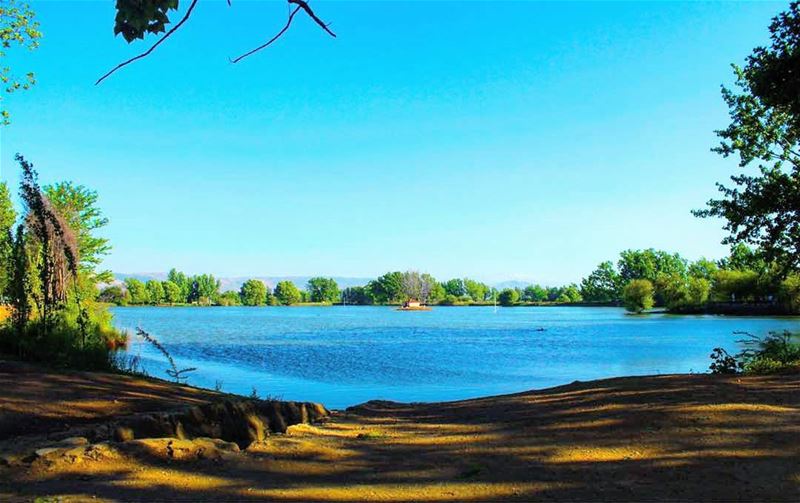  morning  amazing_pictures  bestview  bekaa  tenayalake  lebanon ...