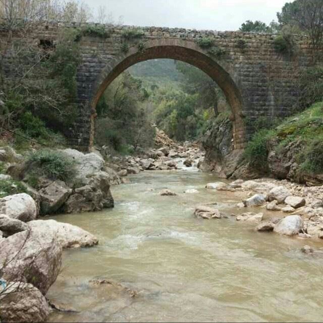  morning  bridge  nature  green  river  rocks  trees  sky  bzebdine ...