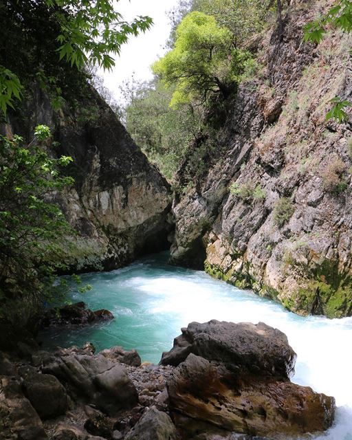 Morning.... chouwen lake lebanon all_shots tagsforlikes instagramers... (Chouwen)