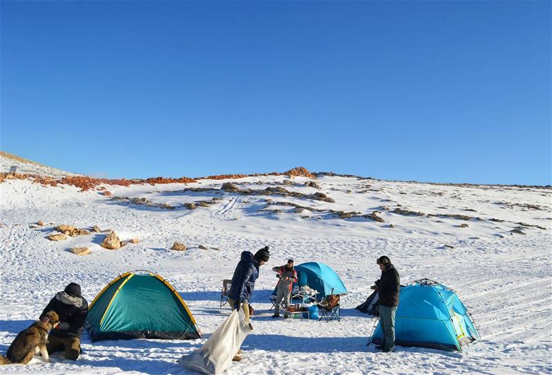 Morning duty❄🗻  sunday morning duty camping camp hike hiking adventure... (Aayoun El Siman)