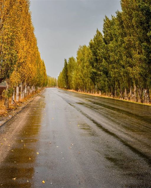 Morning from Ammik 😍Photo taken by @alexander_photography97  lebanon ... (`Ammiq, Béqaa, Lebanon)