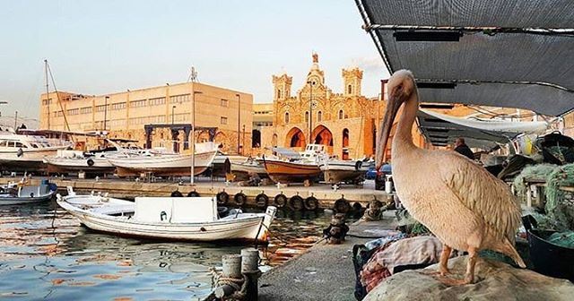 Morning from Batroun, have a nice week 😃صباح الخير من البترون 😃Photo... (Mina-batroun)
