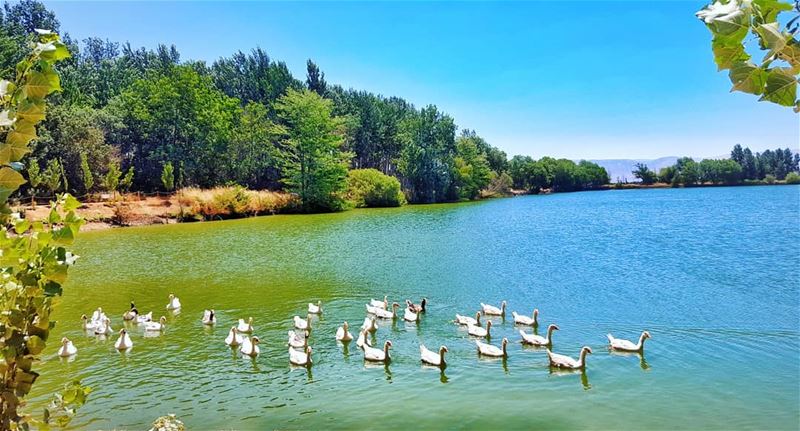  morning from  bekaa ❤-------------------------------------------... (Deïr Taanâyel, Béqaa, Lebanon)