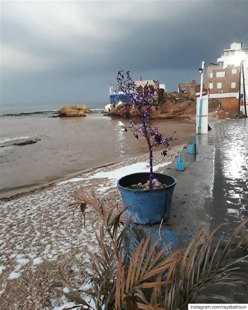 Morning from RAY’s  lebanon  batroun  raysbatroun  snow  snowday ... (RAY's Batroun)