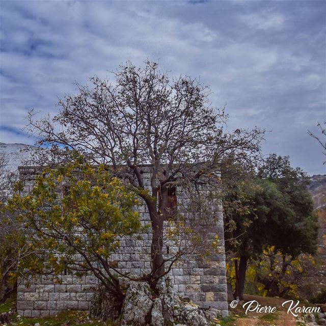  morning  hike lebanese  mountains  house  winter  trees ...