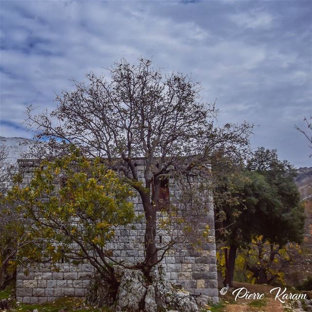  morning  hike lebanese  mountains  house  winter  trees ...