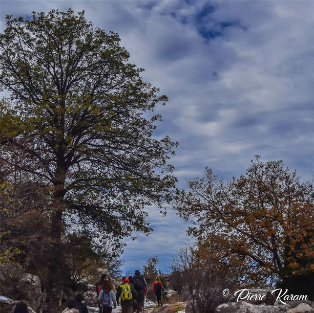  morning  hike lebanese  mountains  winter  trees  naturephotography ... (Baskinta, Lebanon)