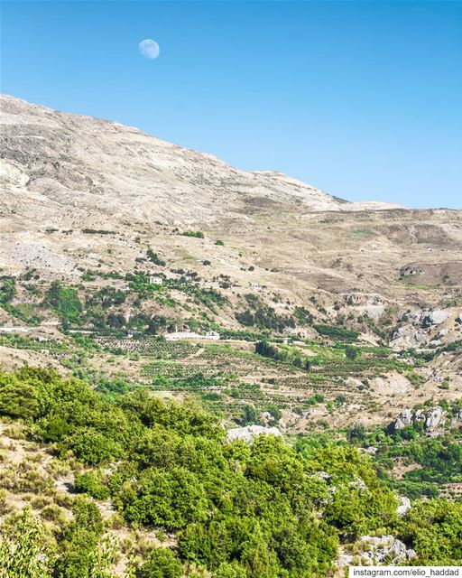 Morning 🌕  Lebanon  Baskinta  livelovebaskinta  morning  moon  mountain ... (Baskinta, Lebanon)