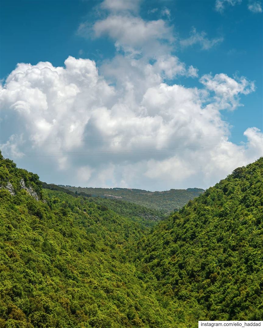Morning 🌞  Lebanon  Batroun  Green  Nature   Clear  Sky  Clouds  Blue ... (Batroûn)