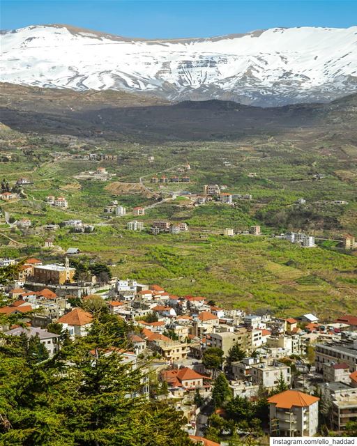  Morning 🌞  Lebanon  Ehden 🇱🇧  LiveLoveEhden  LiveLoveBeirut ... (Ehden, Lebanon)