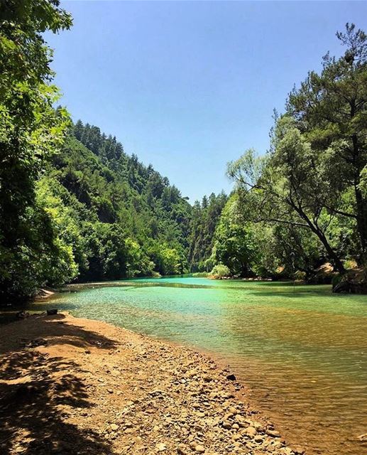  morning lebanon  insta_lebanon  naturephotography  naturelovers ... (جنة شوان - نهر ابراهيم)