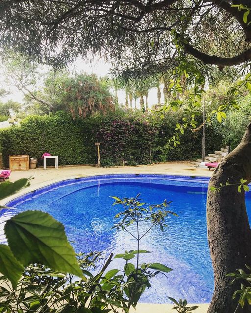Morning 😀 lebanon  jbeil  eddesands  morning  mood  pool  positivevibes ... (Eddésands Hotel & Wellness Resort)